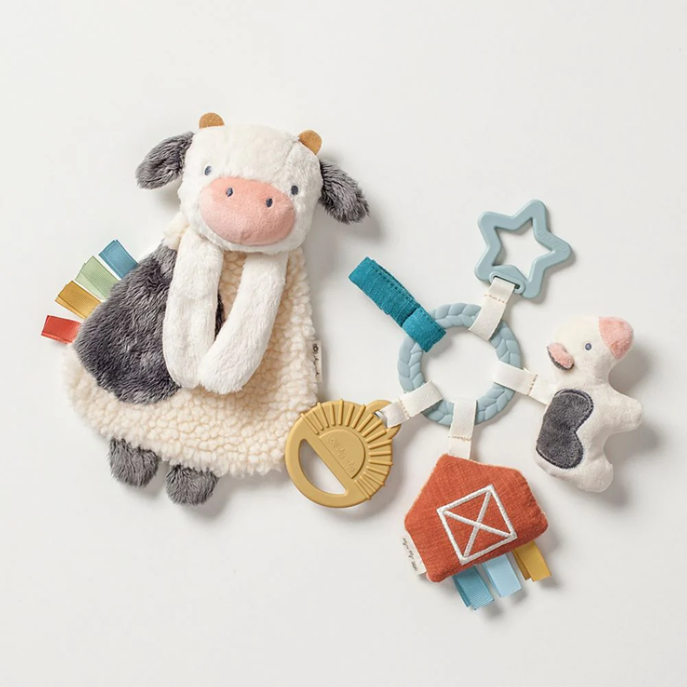 Itzy Ritzy Bitzy Busy Gift Set