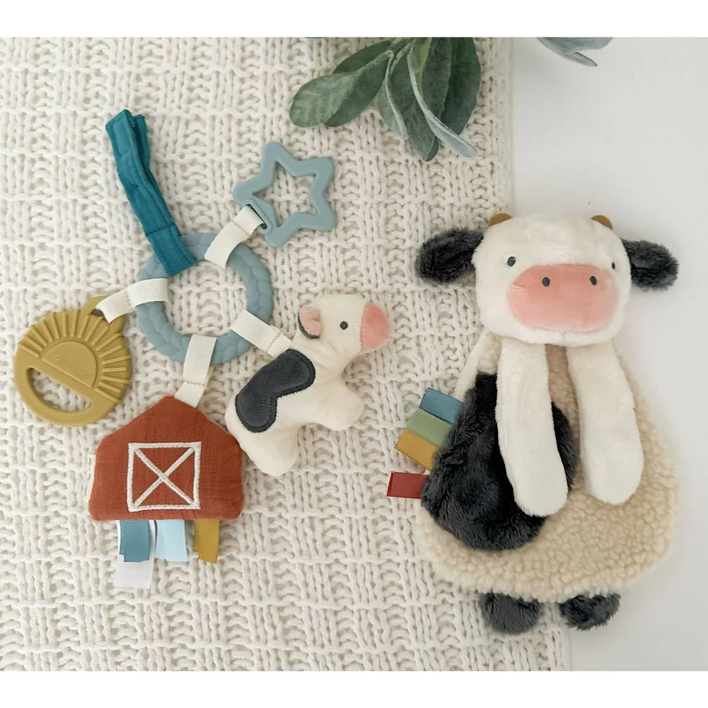 Itzy Ritzy Bitzy Busy Gift Set - Image 3