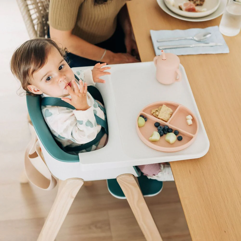 UPPAbaby Ciro Highchair - Image 9
