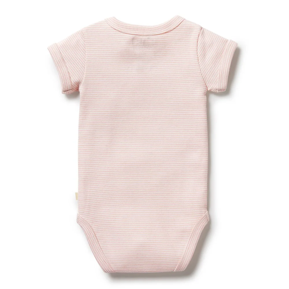 Wilson+Frenchy Organic Cotton Striped Short Sleeve Onesie - Cantaloupe (Petit Baby, Up to 3.5 Kg) - Image 2