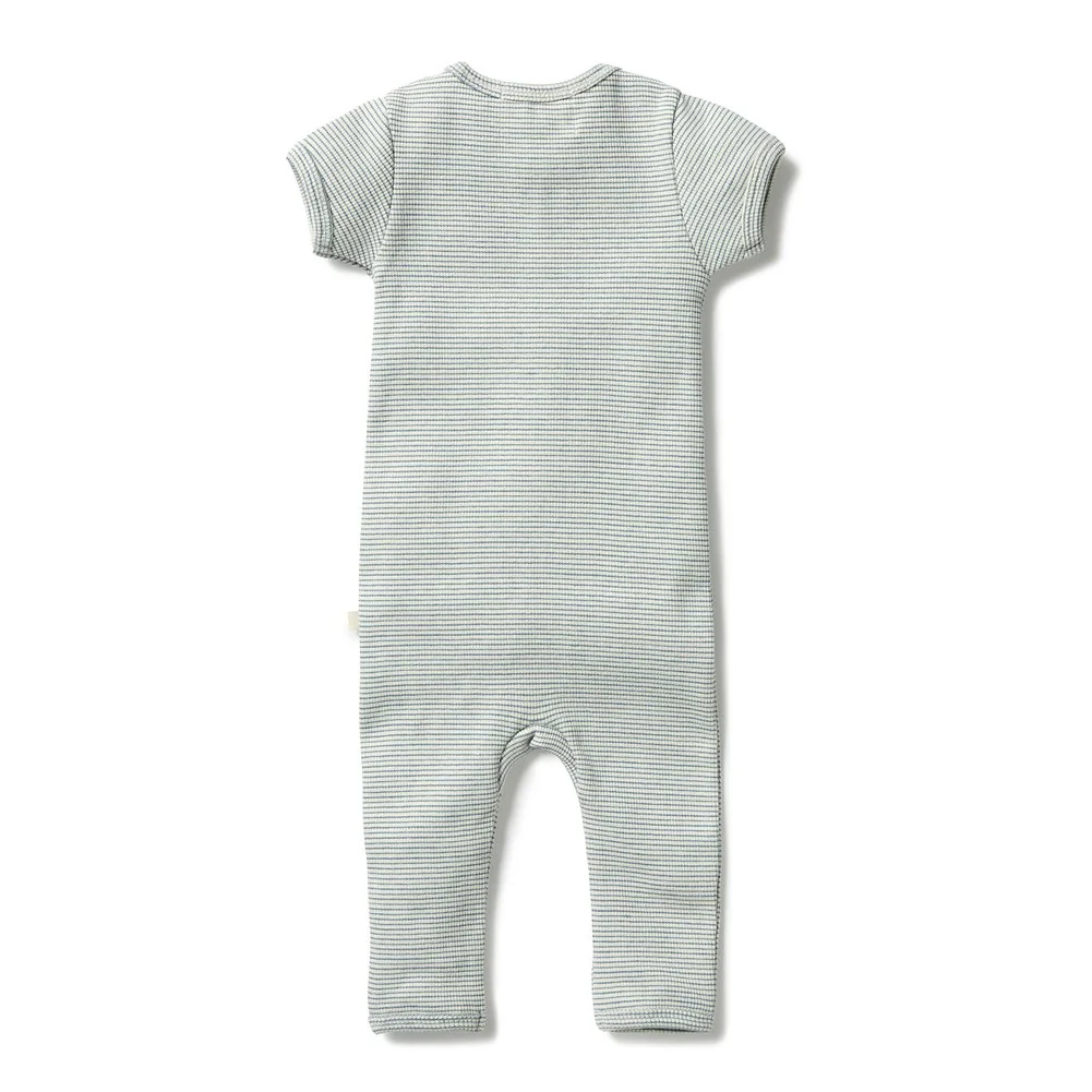 Wilson+Frenchy Organic Cotton Striped Short Sleeve Zipsuit - Bluestone (12-18 Months, 10-12 Kg) - Image 2